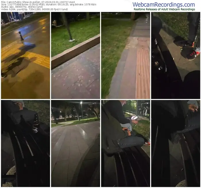 2024/03/31/cam4-pollen_07-19-07-07