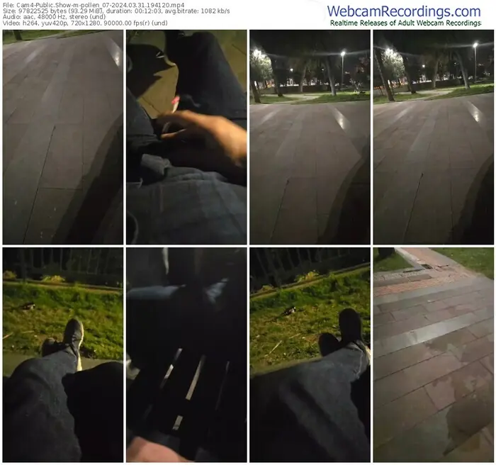 2024/03/31/cam4-pollen_07-19-41-20