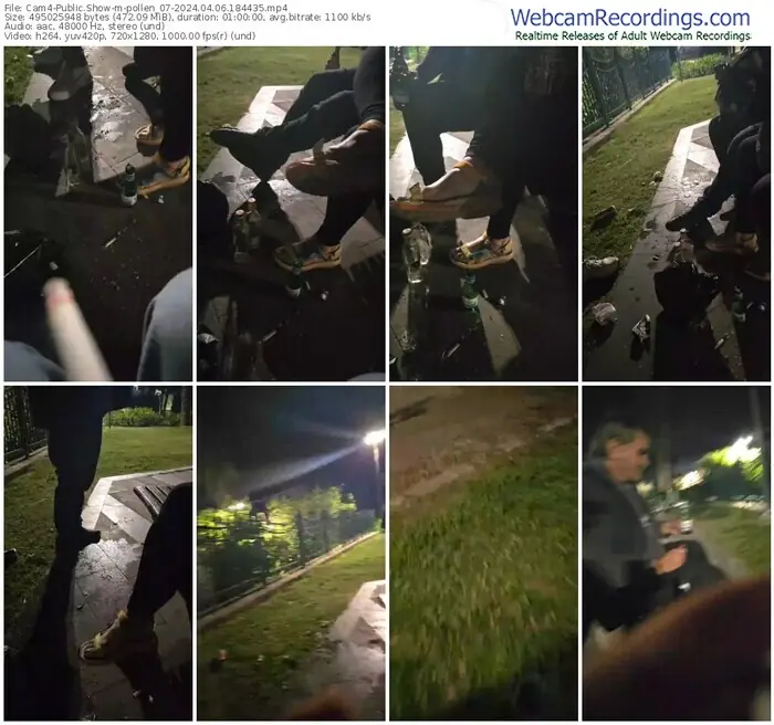 2024/04/06/cam4-pollen_07-18-44-35