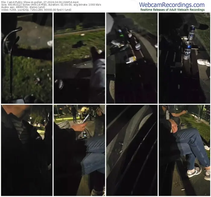 2024/04/06/cam4-pollen_07-19-44-54