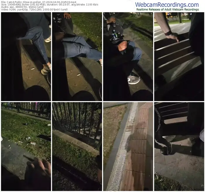 2024/04/06/cam4-pollen_07-20-45-33