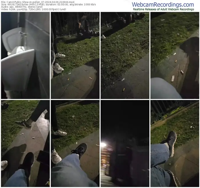 2024/04/06/cam4-pollen_07-21-09-44