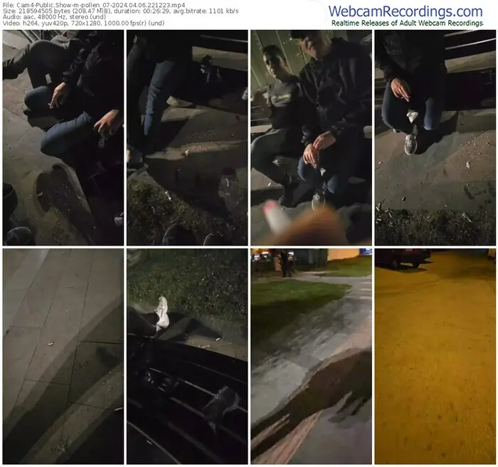 2024/04/06/cam4-pollen_07-22-12-23