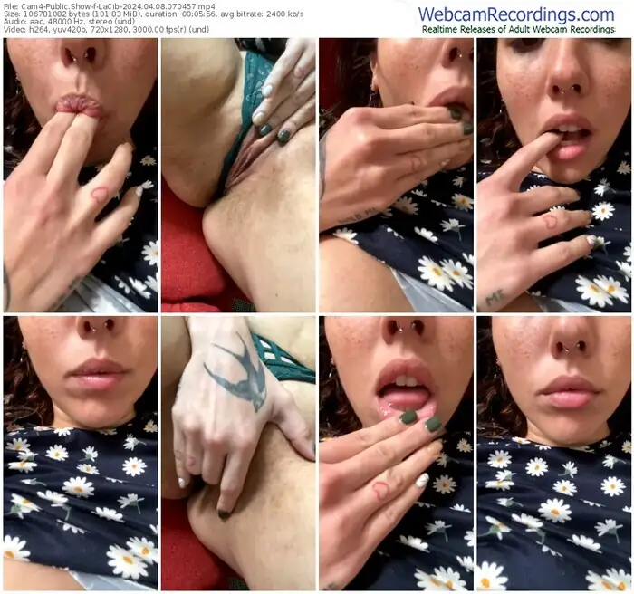 2024/04/08/cam4-lacib-07-04-57