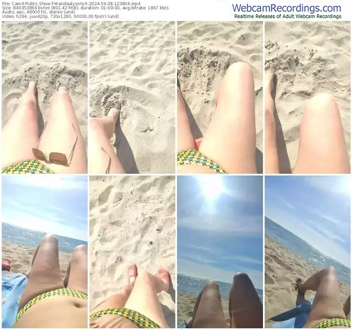 2024/04/08/cam4-wandaalysony9-12-38-04