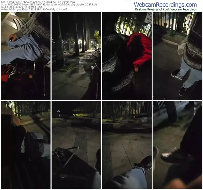 2024/04/12/cam4-pollen_07-19-38-30