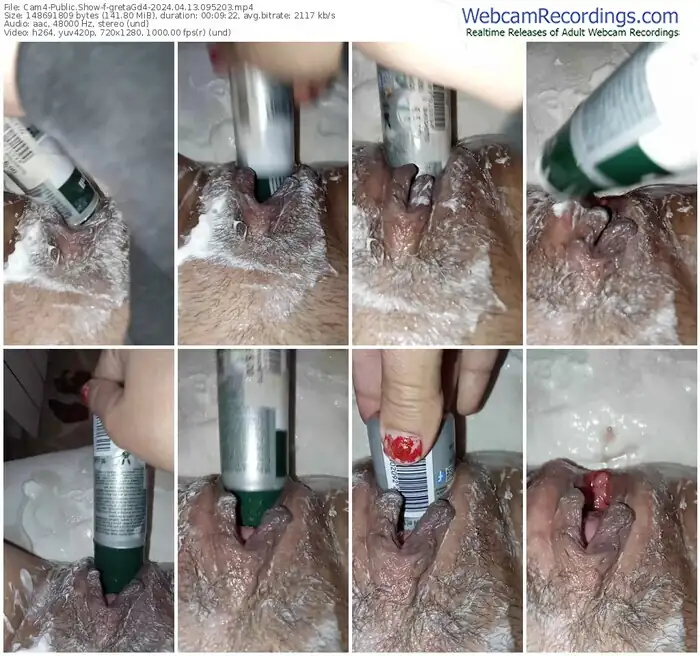 2024/04/13/cam4-gretagd4-09-52-03