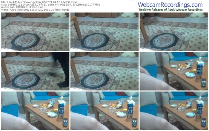 2024/04/15/cam4-pollen_07-20-43-39