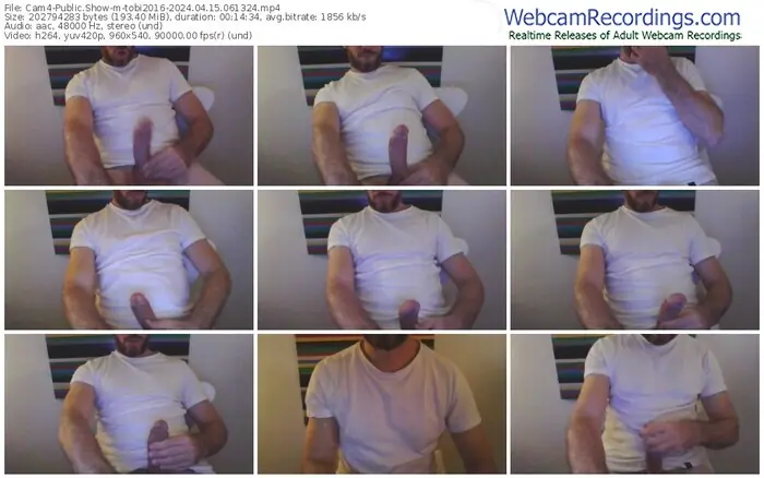 2024/04/15/cam4-tobi2016-06-13-24