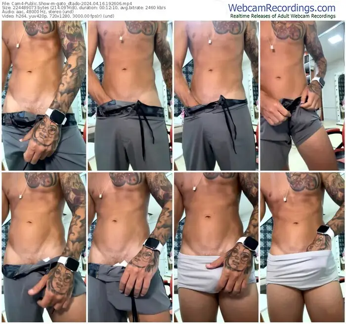 2024/04/16/cam4-gato_dtado-19-26-06
