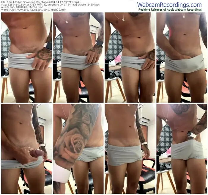 2024/04/17/cam4-gato_dtado-03-57-15
