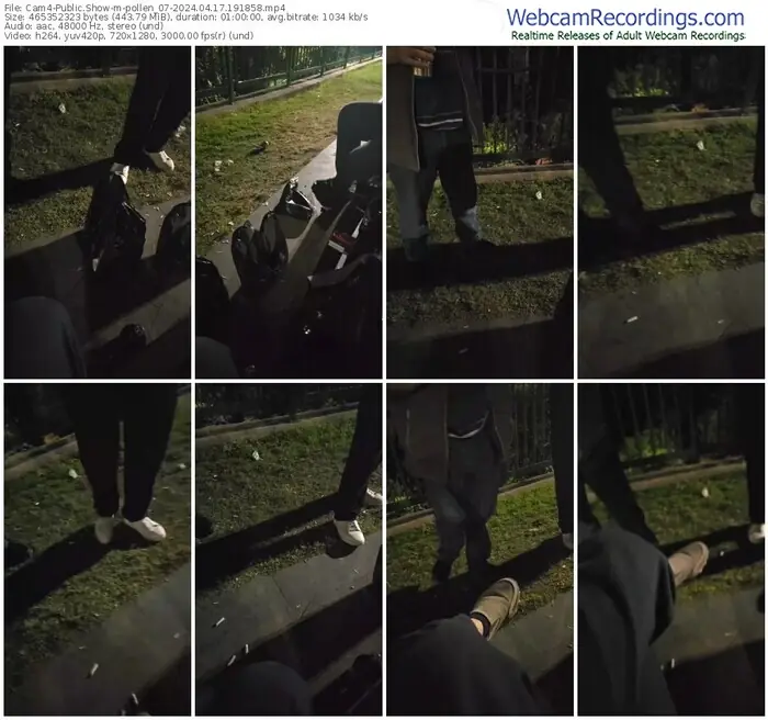 2024/04/17/cam4-pollen_07-19-18-58