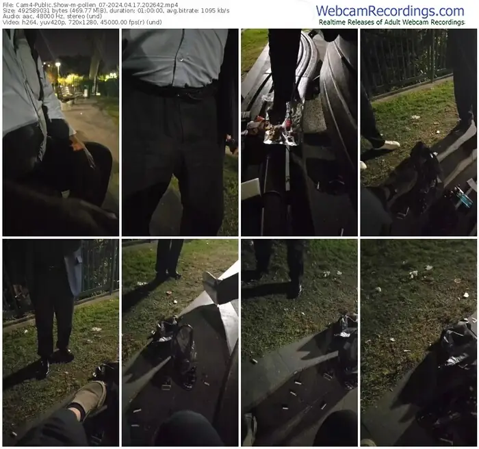 2024/04/17/cam4-pollen_07-20-26-42