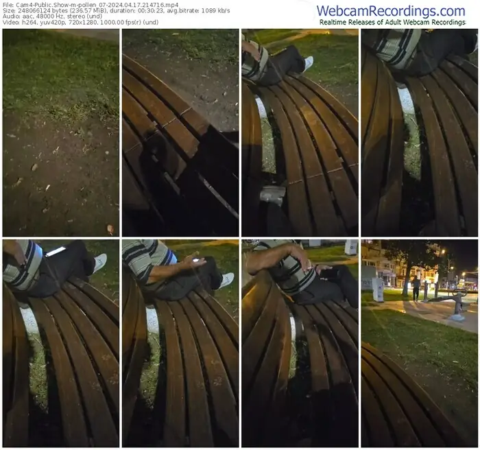 2024/04/17/cam4-pollen_07-21-47-16