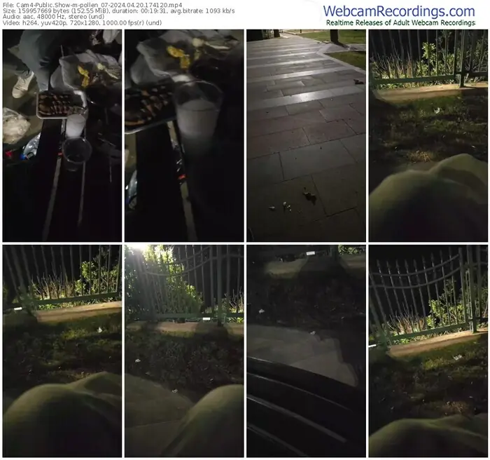 2024/04/20/cam4-pollen_07-17-41-20