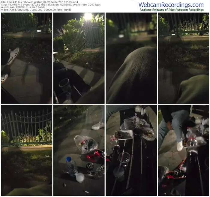 2024/04/20/cam4-pollen_07-18-25-29