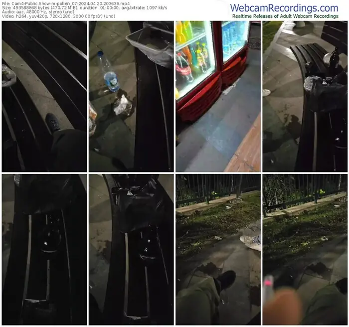 2024/04/20/cam4-pollen_07-20-36-36