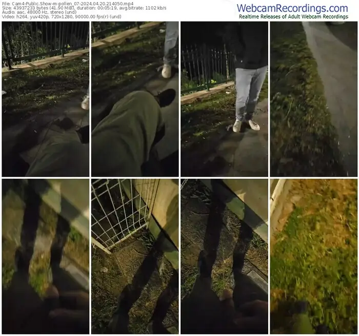 2024/04/20/cam4-pollen_07-21-40-50