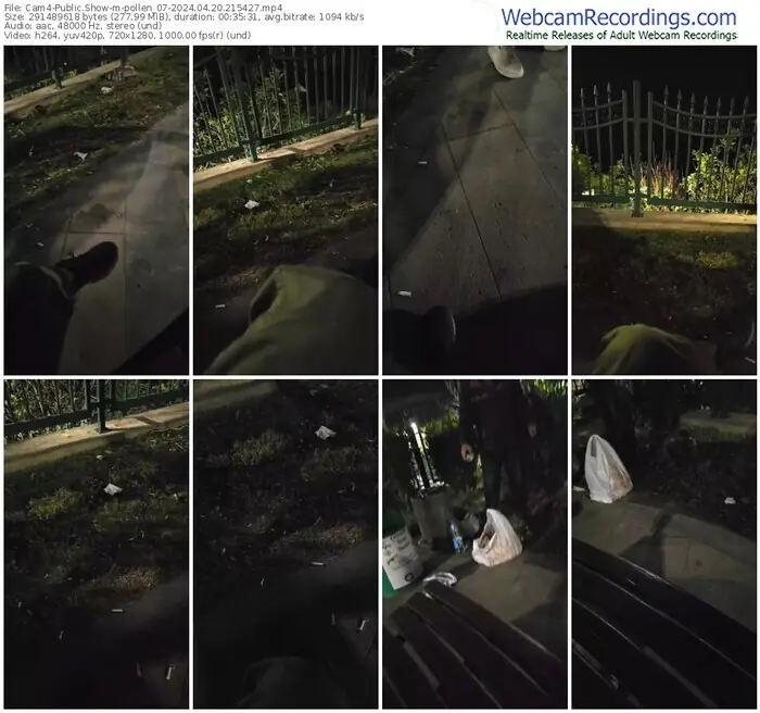 2024/04/20/cam4-pollen_07-21-54-27