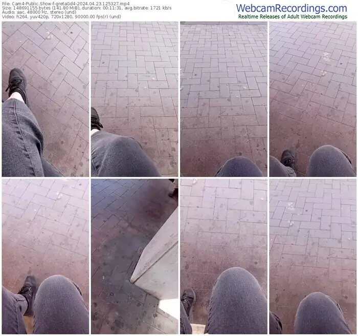 2024/04/23/cam4-gretagd4-12-53-27