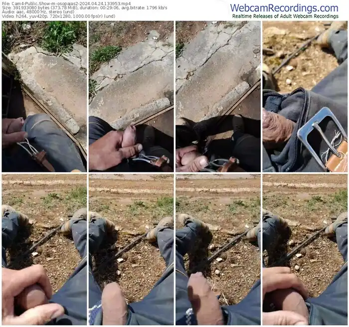 2024/04/24/cam4-osopajas2-13-39-53