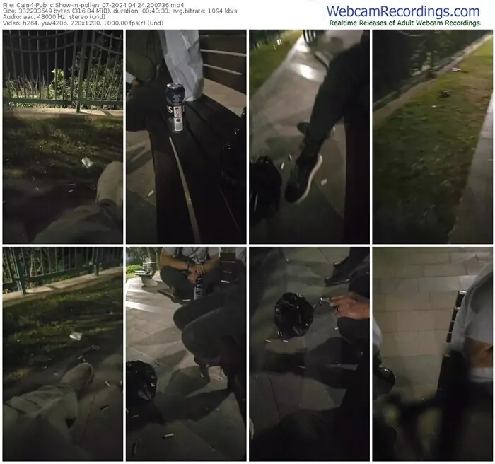 2024/04/24/cam4-pollen_07-20-07-36