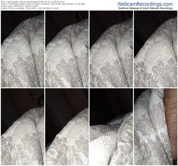 2024/04/25/cam4-gretagd4-12-35-22