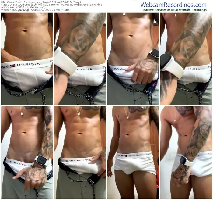 2024/04/25/cam4-gato_dtado-02-13-12