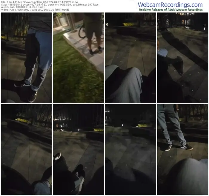 2024/04/26/cam4-pollen_07-18-32-29