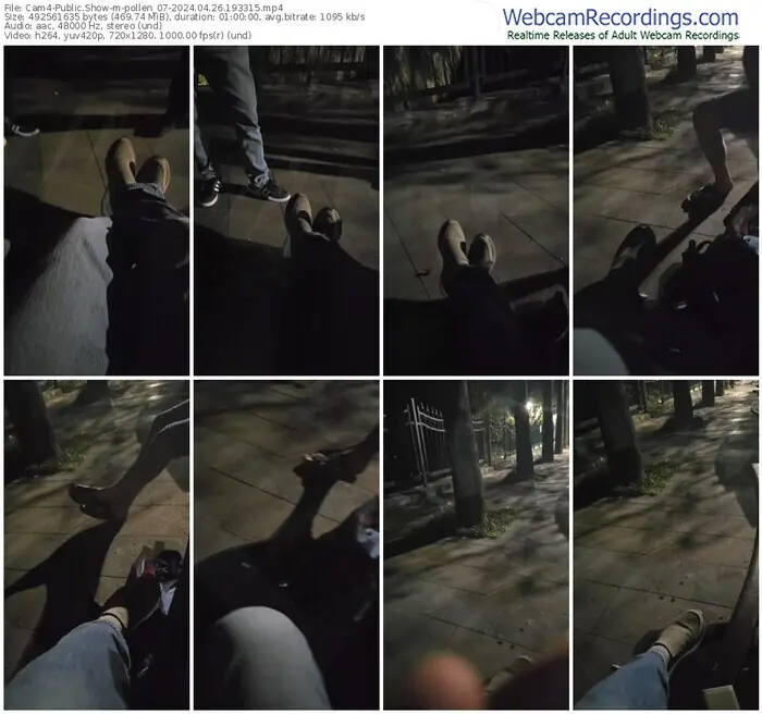 2024/04/26/cam4-pollen_07-19-33-15