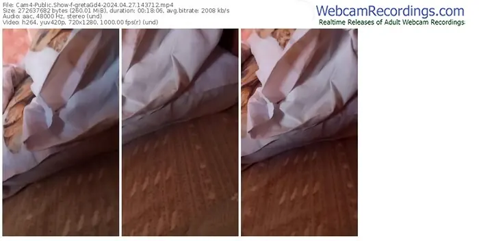 2024/04/27/cam4-gretagd4-14-37-12