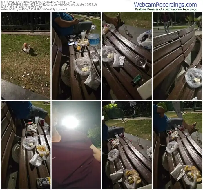 2024/04/27/cam4-pollen_07-21-33-12