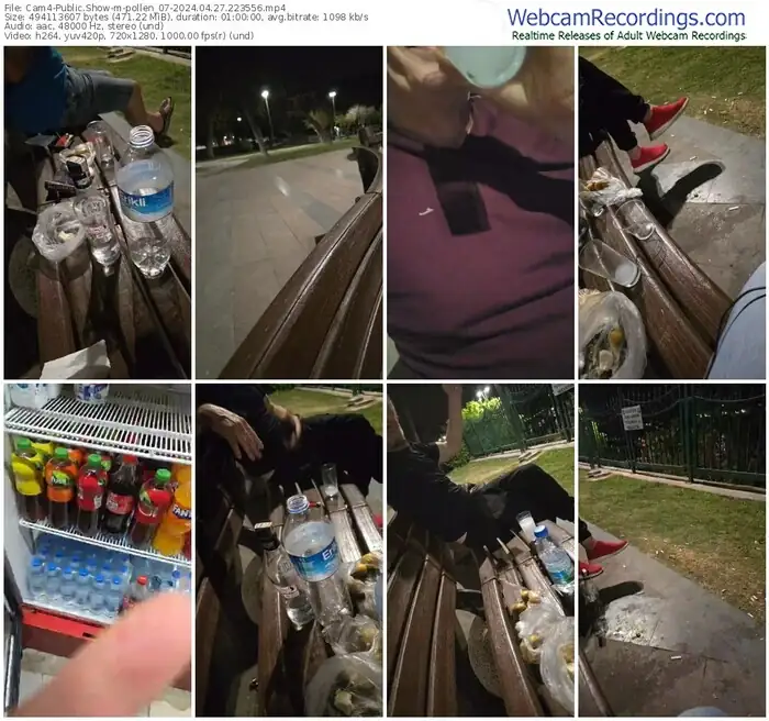 2024/04/27/cam4-pollen_07-22-35-56