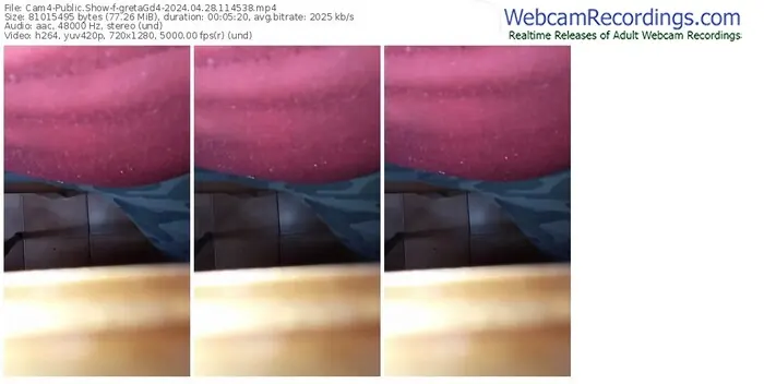 2024/04/28/cam4-gretagd4-11-45-38