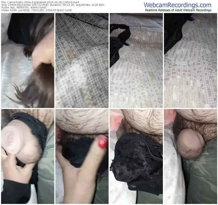 2024/04/28/cam4-gretagd4-13-45-19