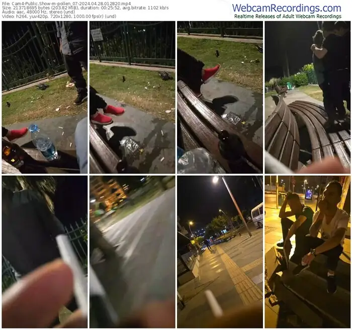 2024/04/28/cam4-pollen_07-01-28-20