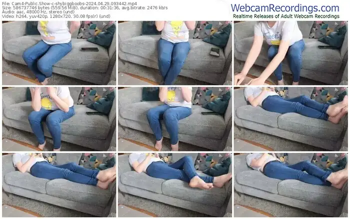 2024/04/29/cam4-shybiggboobs-09-34-42