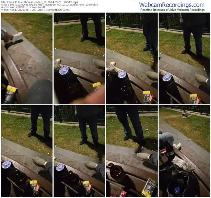 2024/05/01/cam4-pollen_07-18-45-15