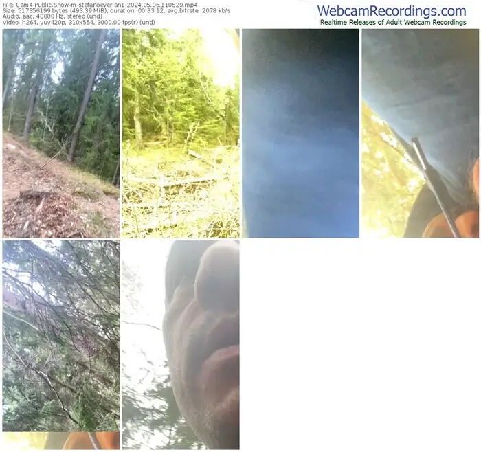 2024/05/06/cam4-stefanoeverlan1-11-05-29