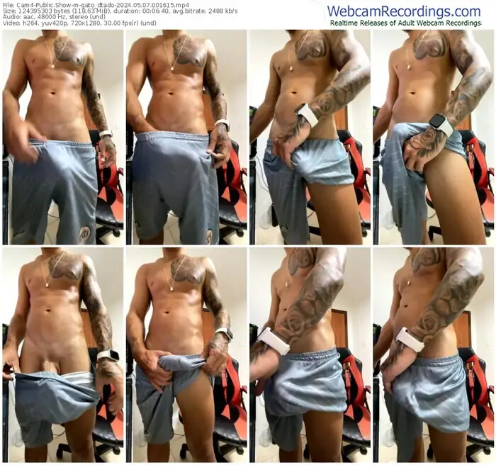 2024/05/07/cam4-gato_dtado-00-16-15