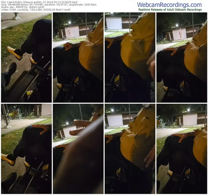 2024/05/10/cam4-pollen_07-21-02-29