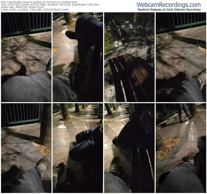 2024/05/11/cam4-pollen_07-19-28-54