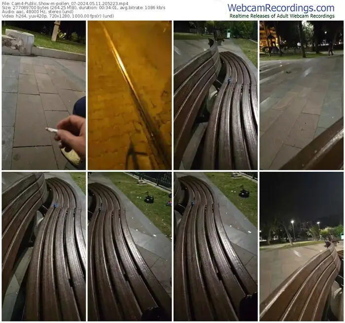 2024/05/11/cam4-pollen_07-20-52-23