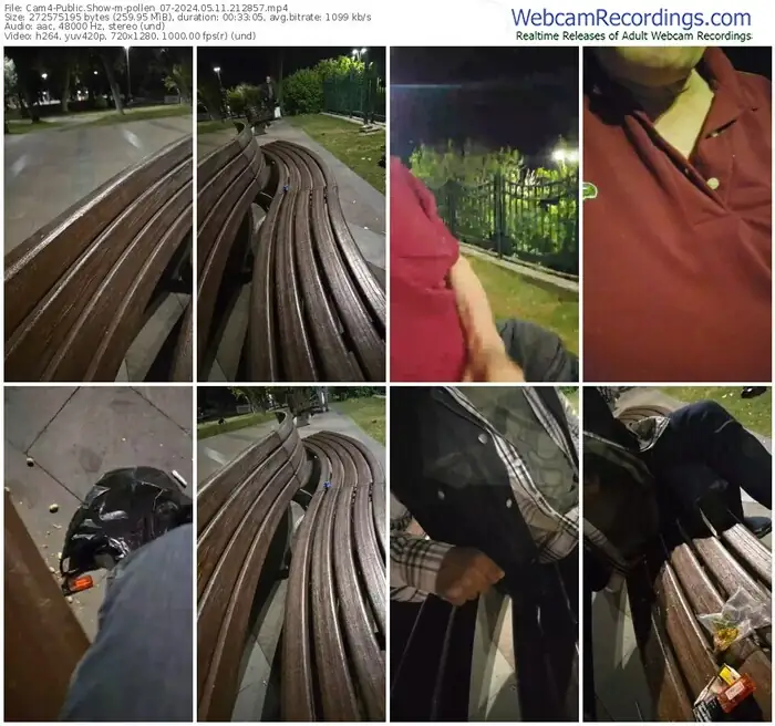 2024/05/11/cam4-pollen_07-21-28-57