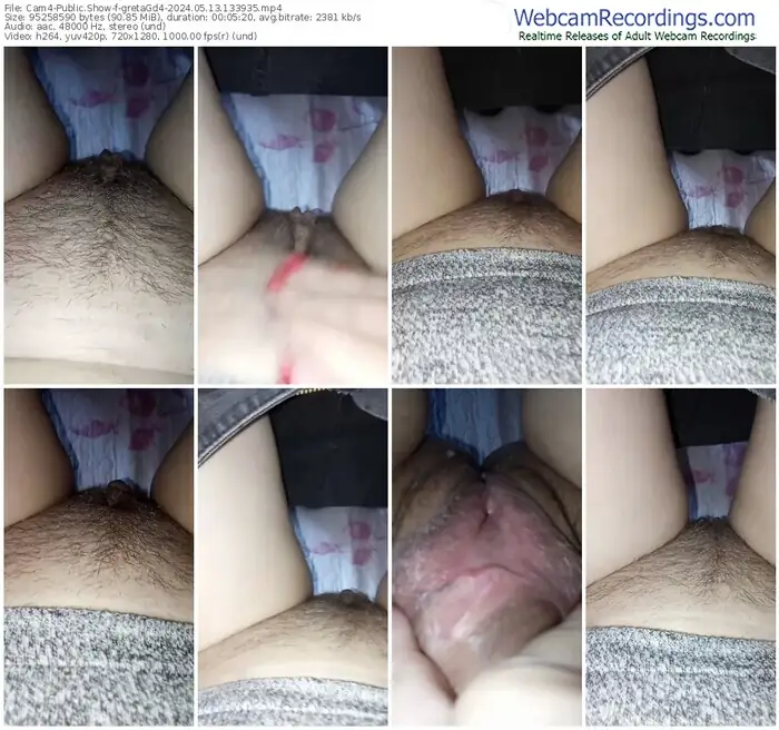 2024/05/13/cam4-gretagd4-13-39-35