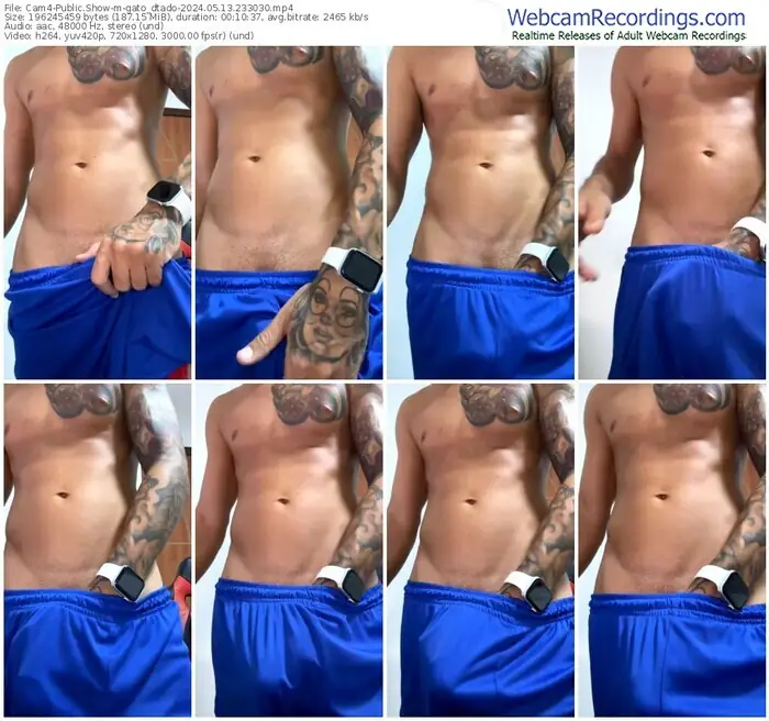 2024/05/13/cam4-gato_dtado-23-30-30