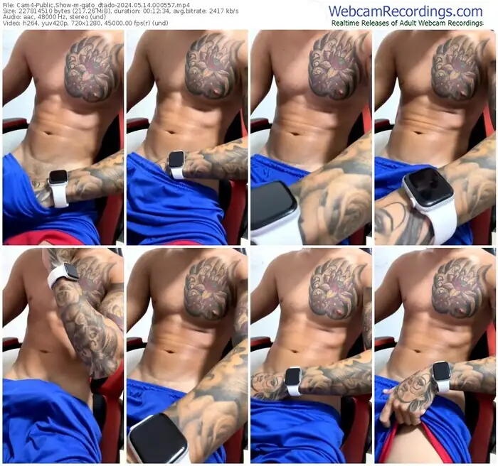 2024/05/14/cam4-gato_dtado-00-05-57