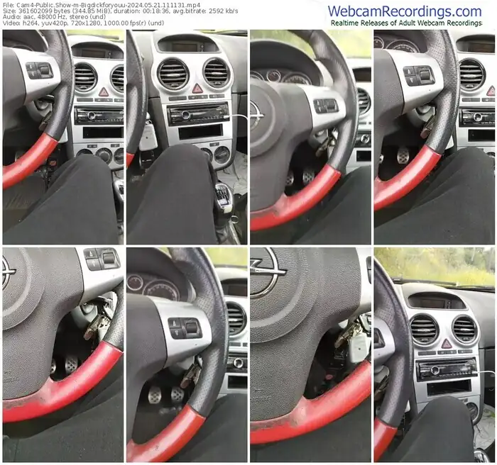 2024/05/21/cam4-bigdickforyouu-11-11-31