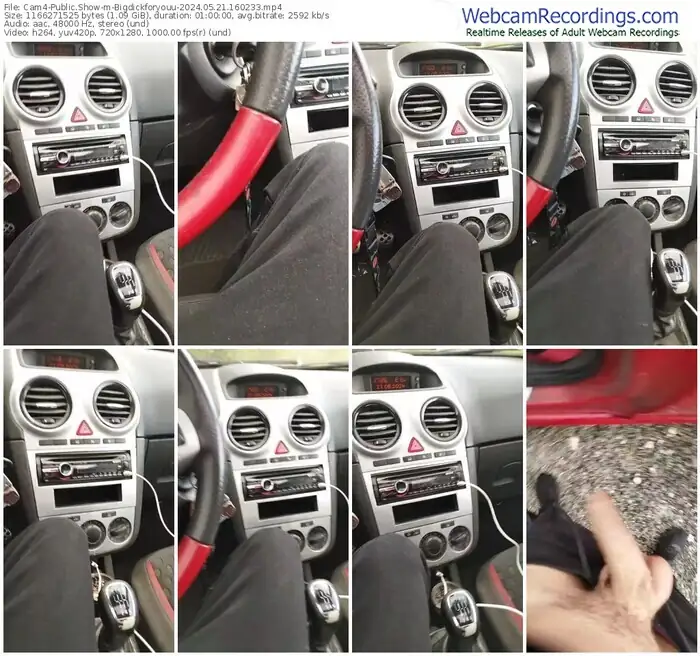 2024/05/21/cam4-bigdickforyouu-16-02-33