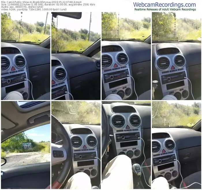 2024/05/22/cam4-bigdickforyouu-07-49-14